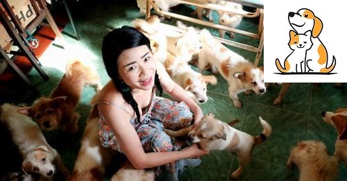 Cô Gái Một Mình Nuôi 91 Con Chó Ở Sài Gòn: Nhiều Anh Hỏi Cưới Nhưng Lắc Đầu Vì Vướng Đàn Con Mọn