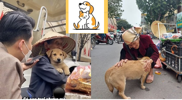 Bà Cụ Hơn 100 Tuổi Vẫn Lóc Cóc Bán Hàng Mưu Sinh, Con Cái Không Có, Chỉ Có Chú Chó Nhỏ Bầu Bạn