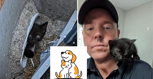 Firefighter Rescues Stray Kitten From Sewer, Then Gives Him A Home