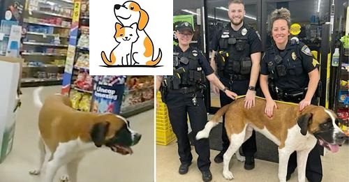 Police Respond To Call About ‘Giant Dog’ Who Won’t Leave Store, Return Him To Owner