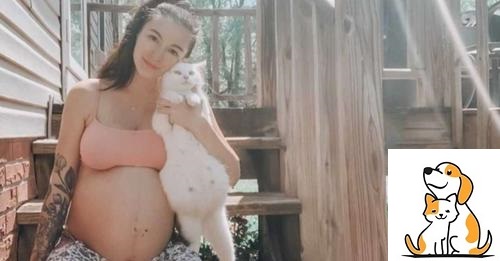 Woman Meets A Stray Cat-Mom And They Get To Be The Most Admirable Pregnant Besties