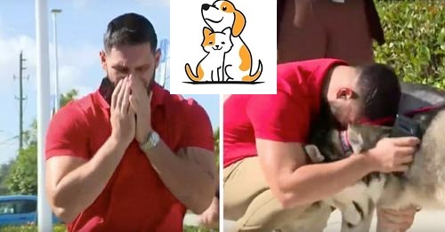 ‘That’s My Dog!’ Man Finds Missing Dogs At Photoshoot For Shelter Pets
