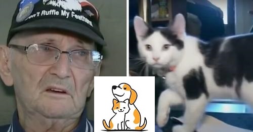 ‘He’s My Hero’ — 84-Year-Old Veteran Saved By Newly Adopted Cat Fluffy After A Bad Fall