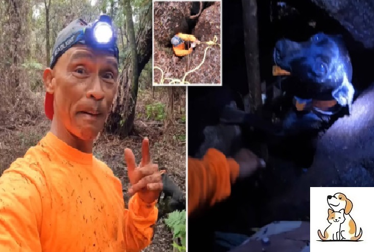 Người đàn ông không ngại nguy hiểm giải cứu chú chó mắc kẹt suốt 2 ngày trong khe nứt núi lửa