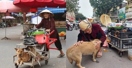 Bà cụ 100 tuổi vừa bán hàng rong nuôi thân lại nuôi chó: Mình ăn gì, chó ăn nấy, bầu bạn như con cháu