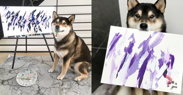 Bé chó 8 tuổi vẽ tranh được cả thế giới đặt mua, giúp chủ bỏ túi 400 triệu: Chó nhà mình thì