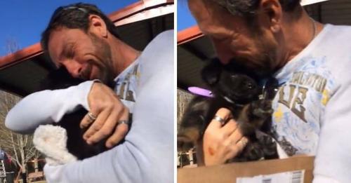 Dad Is Moved To Tears When He’s Surprised With A German Shepherd Puppy