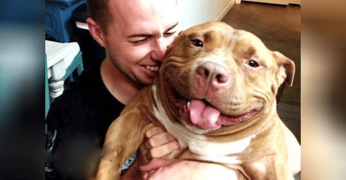 Pitbull Has Not Stopped Smiling Since His Adoption From The Shelter