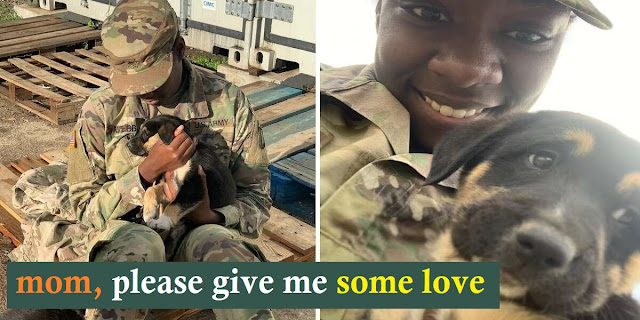 Army Sergeant Reunites With The Puppy She Saved Overseas