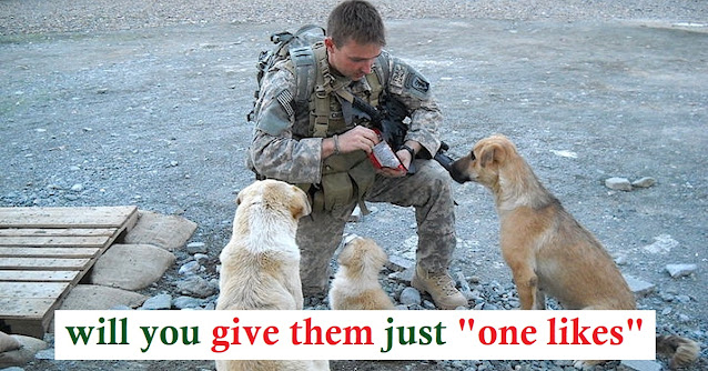 Everyone Has Their Own Superhero. For This Soldier, It Was These Three Dogs